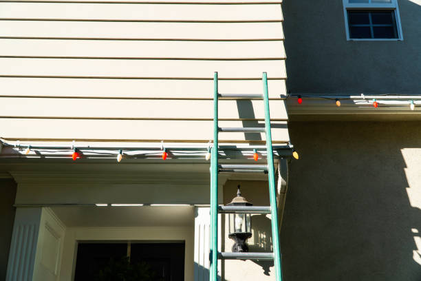 Trusted Holt, MI Siding Installation & Repair Experts