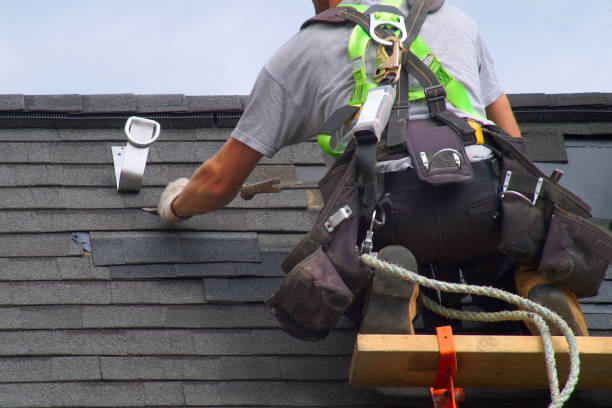 Best Storm Damage Siding Repair  in Holt, MI