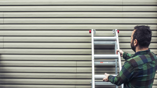 Best Residential Vinyl Siding Installation  in Holt, MI