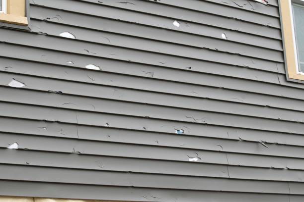 Affordable siding repair and maintenance services in Holt, MI